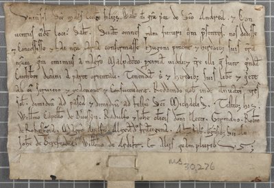 Charte de Walter, Prieur de Saint-Andrews - Unbekannt