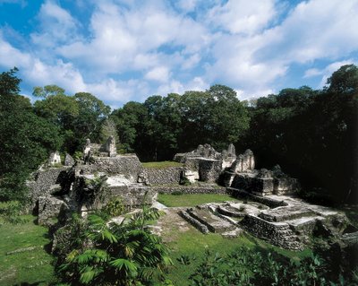 Civilisation précolombienne : vue du site Maya de Uaxactun - Alec Hunter