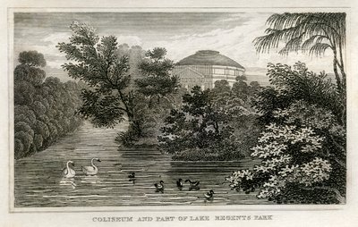 Colisée et lac, Regent