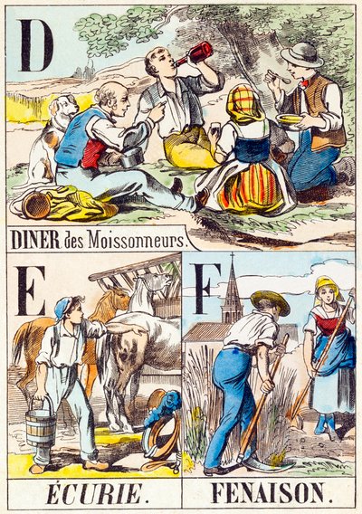 D E F : Dîner des moissonneurs, Écurie, Fenaison - « Alphabet de la ferme » fin du XIXe siècle (gravure) - Unbekannt