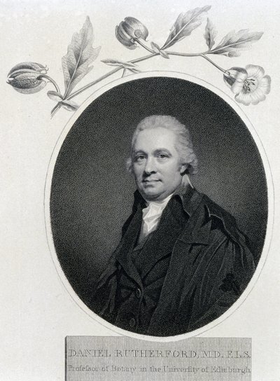 Daniel Rutherford, chimiste et botaniste écossais, début du XIXe siècle - Unbekannt