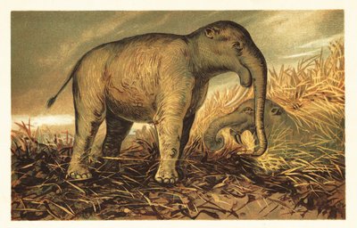 Deinotherium giganteum, grand parent préhistorique des éléphants modernes - Unbekannter Künstler