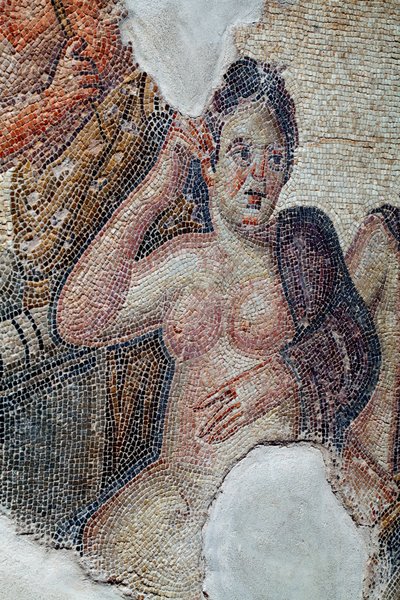 (détail) du panneau montrant Léda, reine de Sparte, en compagnie des filles lacédémoniennes, sur le point de se baigner dans le fleuve Eurotas - Elle est approchée par Zeus déguisé en cygne - Mosaïques de Paphos, Maison d