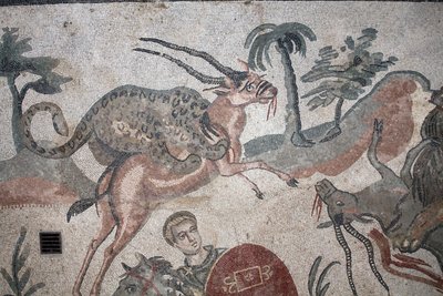 Détail de la mosaïque de la grande chasse. Un léopard attaquant une gazelle. IIIe - IVe siècle. Villa romaine du Casale, Sicile. Site UNESCO. - William M. Timlin