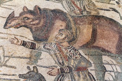 Détail de la mosaïque de la grande chasse. Un rhinocéros est conduit sur un bateau pour être transporté au port le plus proche. IIIe - IVe siècle. Villa romaine du Casale, Sicile. Site UNESCO. - William M. Timlin