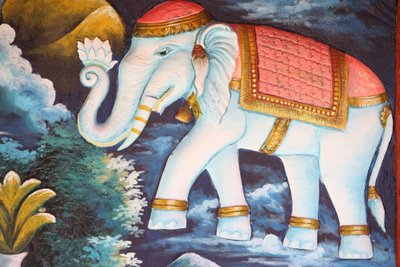 Éléphant dévoué - Unbekannt