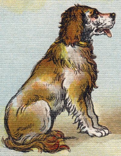 Chien. Gravure dans "Alphabet de ma petite fille". Bernardin-Béchet et Fils, libraires-éditeurs, Paris, vers 1895. Album incassable sur toile. Bibliothèque des Bébés. - Unbekannt