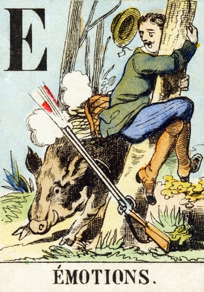 E : Émotions - L