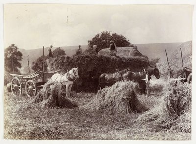 Scènes agricoles, récolte et stockage, avant 1900 Récolte, vers 1890 - Unbekannt