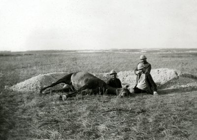 Première Guerre mondiale 14-18 (1914-1918) : trois soldats français enterrent un cheval mort - photographie sur plaque de verre - Unbekannter Künstler