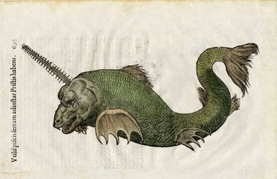 Poisson-scie (Pristis) dans Ulyssis Aldrouandi... De piscibus libri V et de cetis lib. vnus/Ioannes Cornelius Vteruerius... collegit; Marc. Antonius Bernia in lucem restituit... traite de l