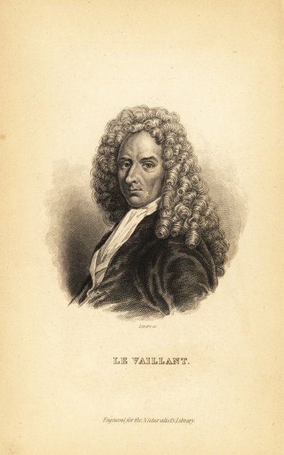 François le Vaillant, auteur, explorateur, naturaliste et ornithologue français - Unbekannt
