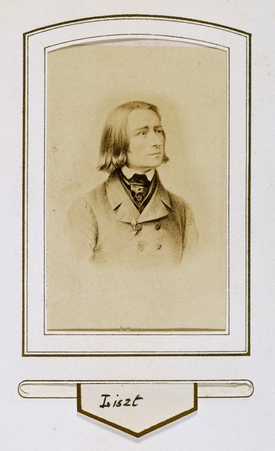 Franz Liszt jeune - Unbekannter Künstler