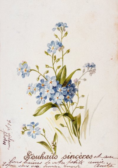 Carte d