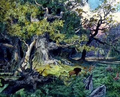 Forêt allemande - Unbekannter Künstler