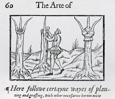 Greffer un arbre - Unbekannt