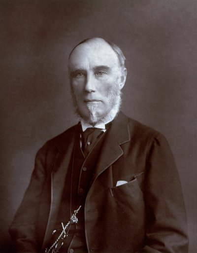 Portrait en buste du Vice-roi des Indes Thomas Baring Comte de Northbrook - Unbekannter Künstler