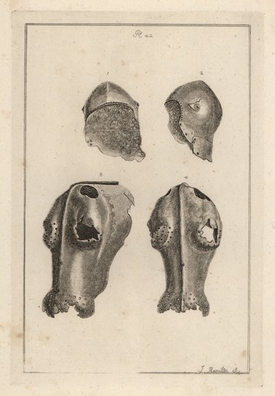Casque 1,2, et chanfrein en fer 3,4 appartenant à Guy, Comte de Warwick - Unbekannt