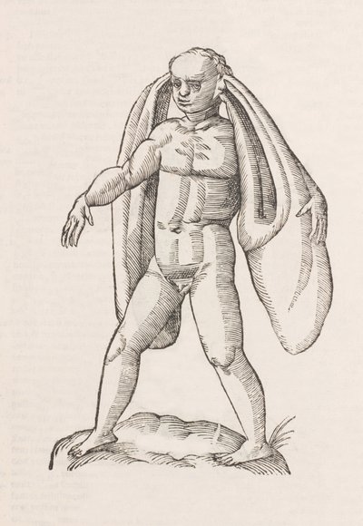 Homo fanesius auritus - Unbekannt
