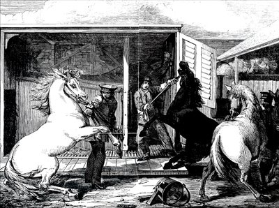 Chevaux à la gare de Gloucester - Unbekannt