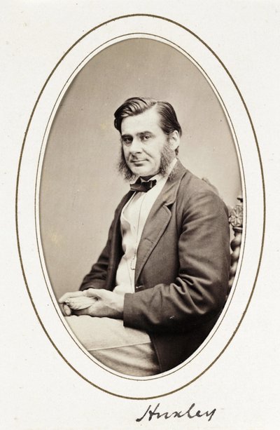 Huxley, vers 1865 - Unbekannt