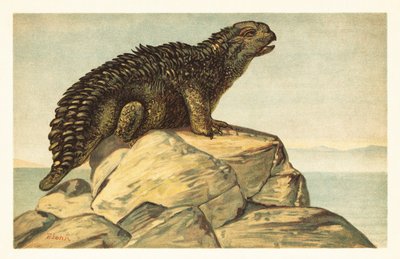 Hylaeosaurus armatus, dinosaure ankylosaurien herbivore éteint. 1908 (lithographie) - Unbekannter Künstler
