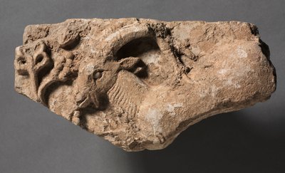 Ibex mangeant - Unbekannt