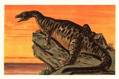 Iguanodon bernissartensis, espèce éteinte de dinosaure Iguanodontien - Unbekannter Künstler