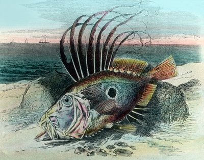 Illustration d