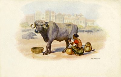 Laitière indienne et bœuf - Unbekannter Künstler
