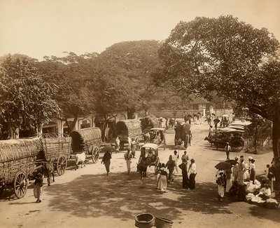 Route indienne parmi les arbres avec des charrettes et des gens - Unbekannter Künstler