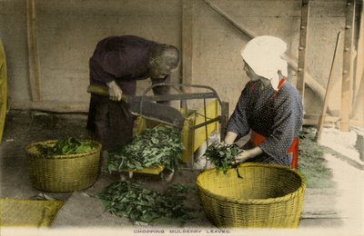 Travailleurs japonais coupant des feuilles de mûrier - Unbekannter Künstler