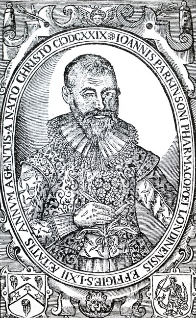 John Parkinson - Unbekannt