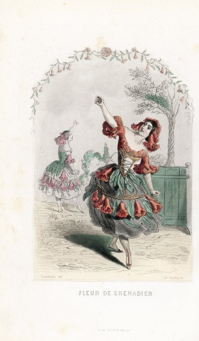La fée de la fleur de grenade danse - Eau-forte par Charles Geoffroy (1819-1882), d