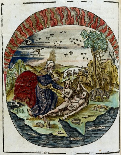 La naissance d