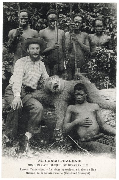 Le singe cynocéphale à tête de lion, c.1910 (lithographie) - Unbekannt