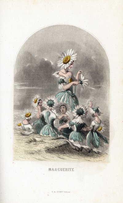 Les fées des marguerites des prés, coiffées de chapeaux de fleurs, l