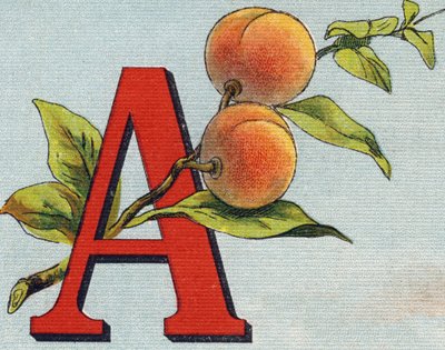 Lettre A : Abricot. Gravure dans "Alphabet de ma petite fille". Bernardin-Béchet et Fils, libraires-éditeurs, Paris, vers 1895. Album incassable sur toile. Bibliothèque des Bébés. - Unbekannt