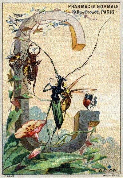 Lettre G comme galop. Alphabet artistique de M. Marinier. Édité par Henry Sicard, fin 19ème siècle. Chromolithographies publicitaires pour des produits vendus en pharmacie. Dim : 12,5 x 9 cm - Unbekannt