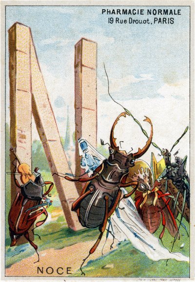 Lettre N comme noces. Alphabet artistique de M. Marinier. Édité par Henry Sicard, fin 19ème siècle. Chromolithographies publicitaires pour des produits vendus en pharmacie. Dim : 12,5 x 9 cm - Unbekannt