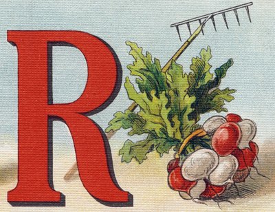 Lettre R: râteau, radis. Gravure dans "Alphabet de ma petite fille". Bernardin-Bechet et Fils, libraires-éditeurs, Paris, vers 1895. Album inaltérable sur toile. Bibliothèque des Bébés. - Unbekannt