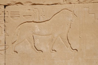 Sculpture de lion, Karnak, Louxor, Égypte (photo) - Unbekannt