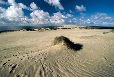 Lituanie, Klaipeda, Isthme de Courlande, Nida, dunes de sable mouvantes appelées Sahara prussien - William M. Timlin