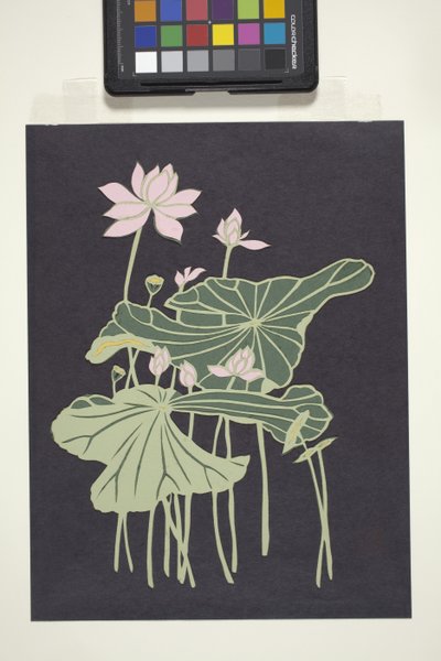 Lotus - Unbekannter Künstler