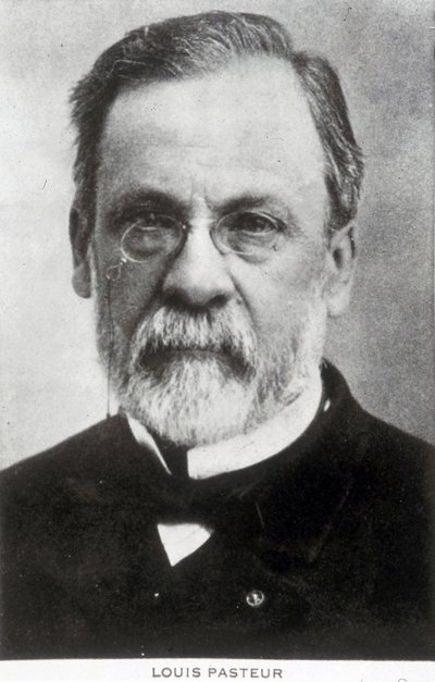 Louis Pasteur, chimiste et microbiologiste français, vers 1885 - Unbekannter Künstler