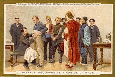 Louis Pasteur découvre le virus de la rage - Unbekannter Künstler