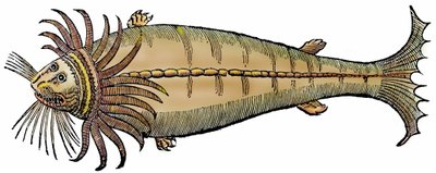 Créature marine, xylographie tirée de "Paralipomena accuratissima historiae omnium animalium quae in voluminibus Aldrovandi desiderantur" par Bartholomaeus Ambrosinus - Unbekannter Künstler