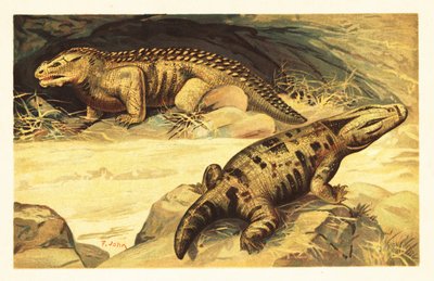 Mastodonsaurus et Pareiasaurus - Unbekannter Künstler