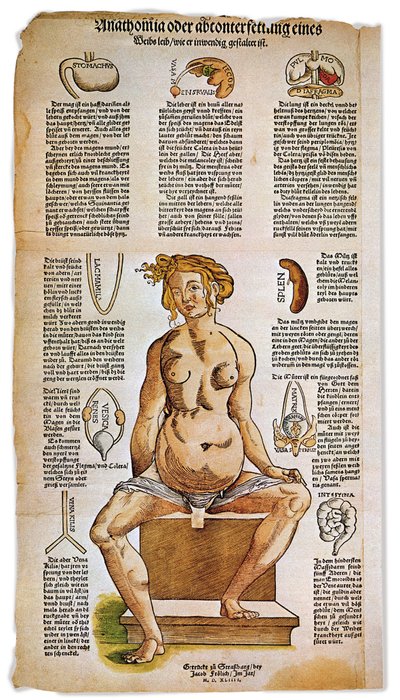 Médecine : planche anatomique décrivant l