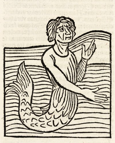 Triton - Unbekannt